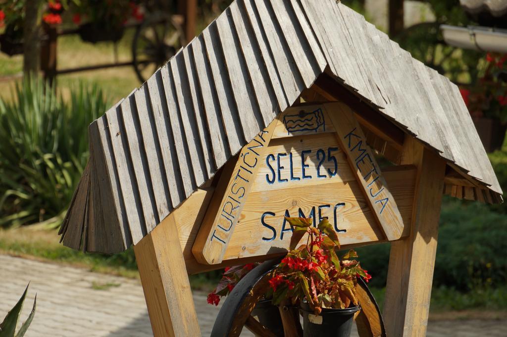 Tourist Farm Samec Villa Sele Kültér fotó