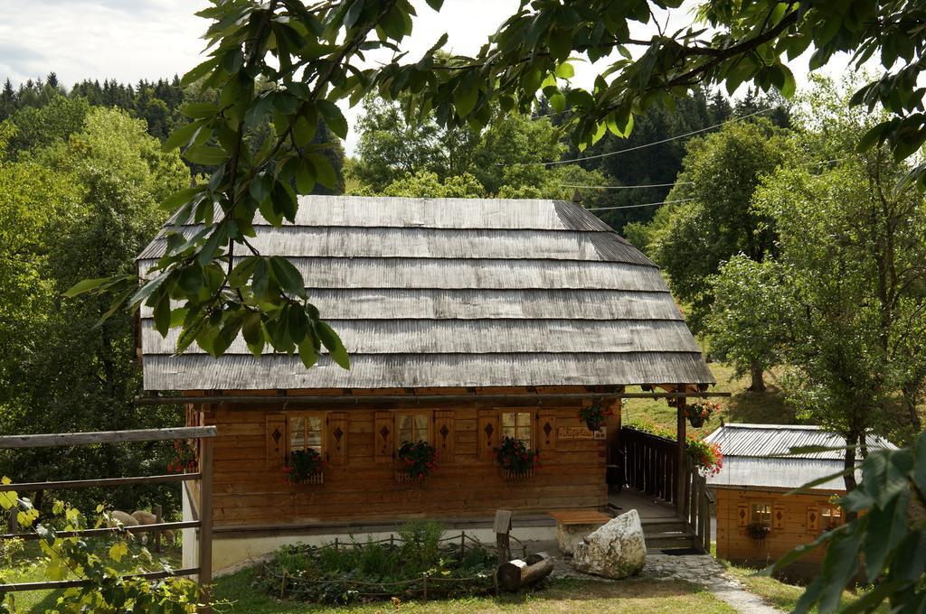 Tourist Farm Samec Villa Sele Kültér fotó