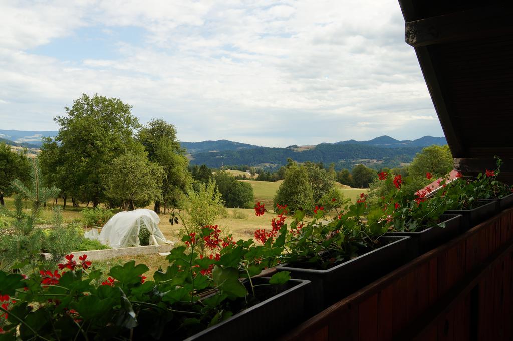 Tourist Farm Samec Villa Sele Kültér fotó