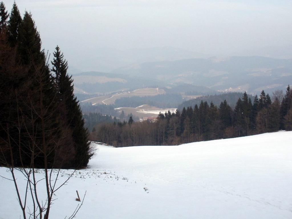 Tourist Farm Samec Villa Sele Kültér fotó