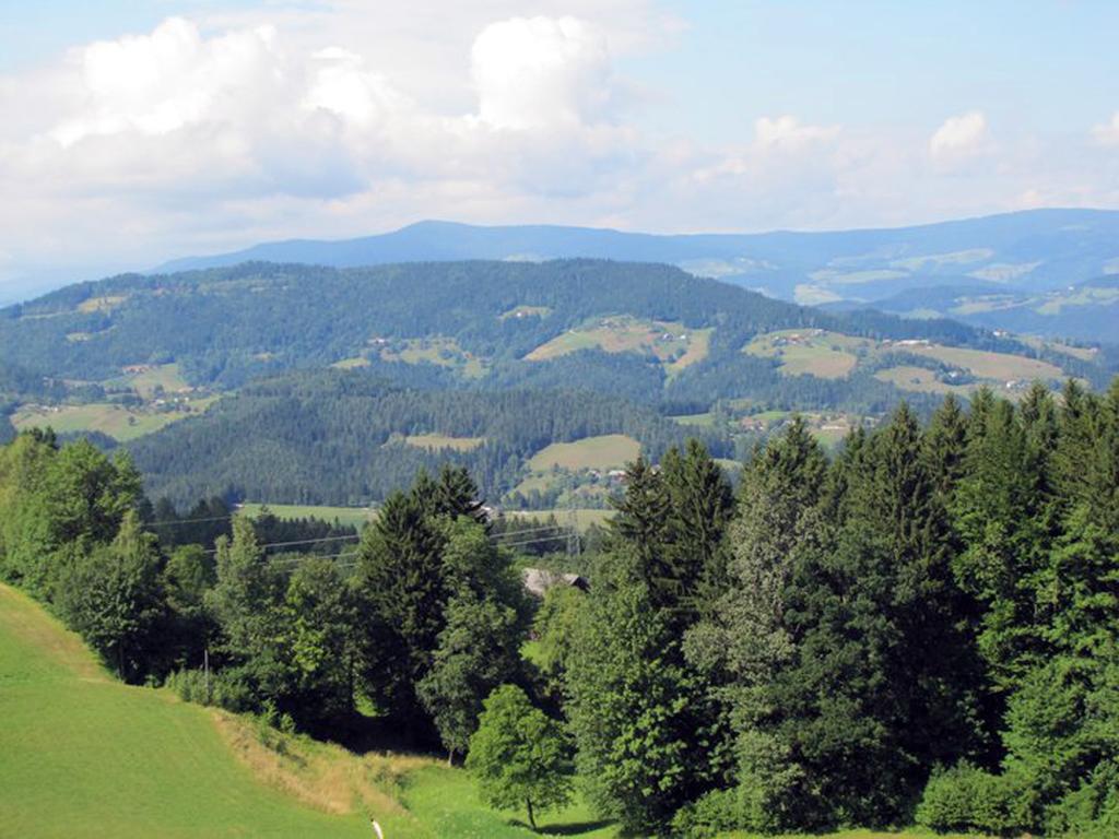 Tourist Farm Samec Villa Sele Kültér fotó