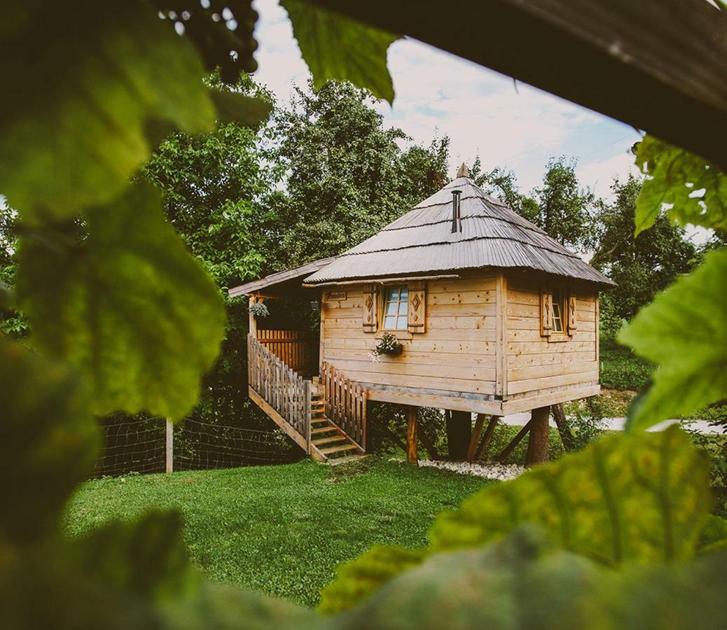 Tourist Farm Samec Villa Sele Kültér fotó