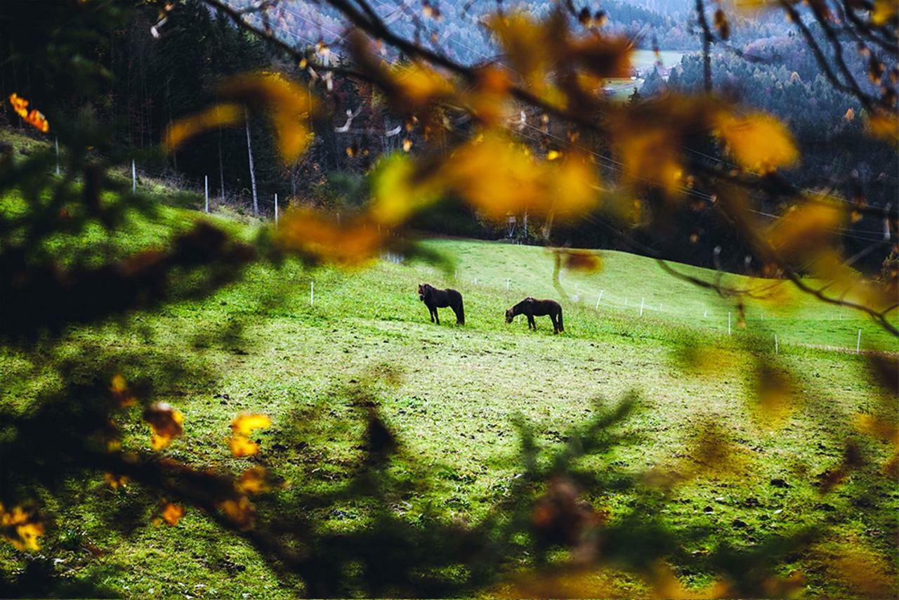 Tourist Farm Samec Villa Sele Kültér fotó