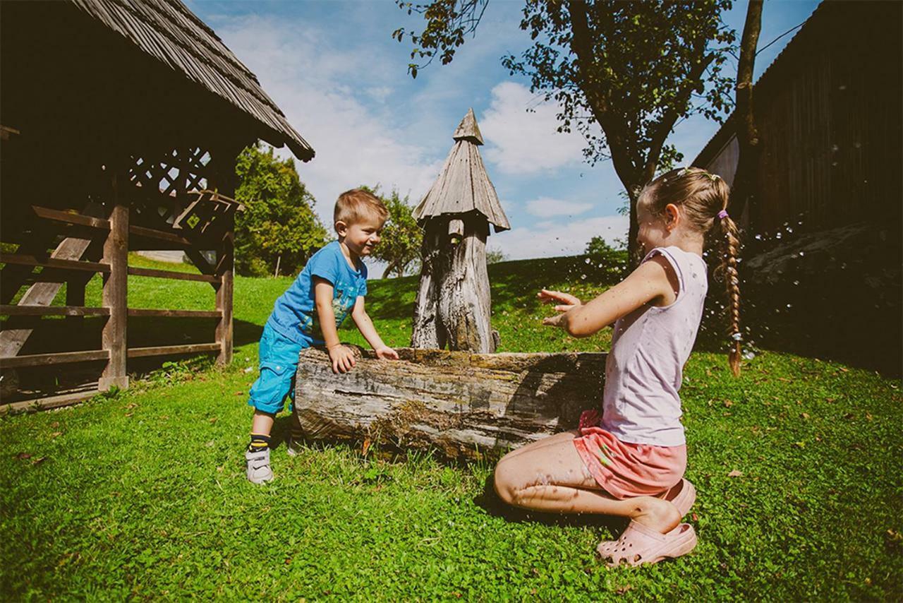 Tourist Farm Samec Villa Sele Kültér fotó