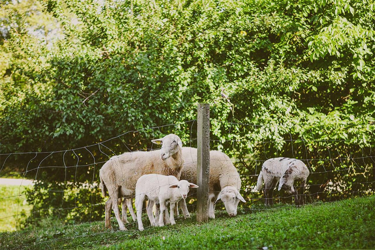 Tourist Farm Samec Villa Sele Kültér fotó